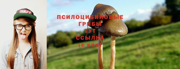 марихуана Баксан