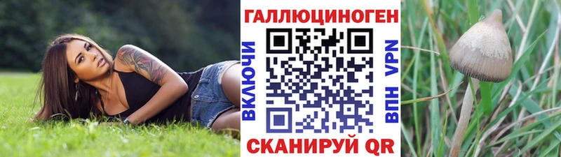 закладки  Иркутск  Псилоцибиновые грибы Magic Shrooms 